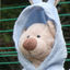 Writer: BlueBear