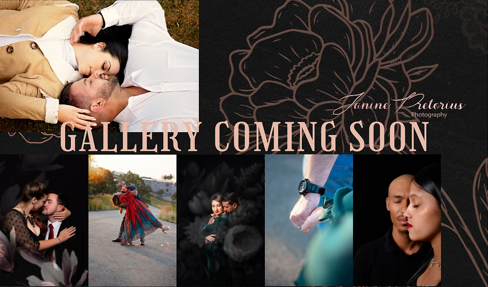 Gallery coming soon