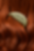 Peine verde oliva entre cabellera roja.png