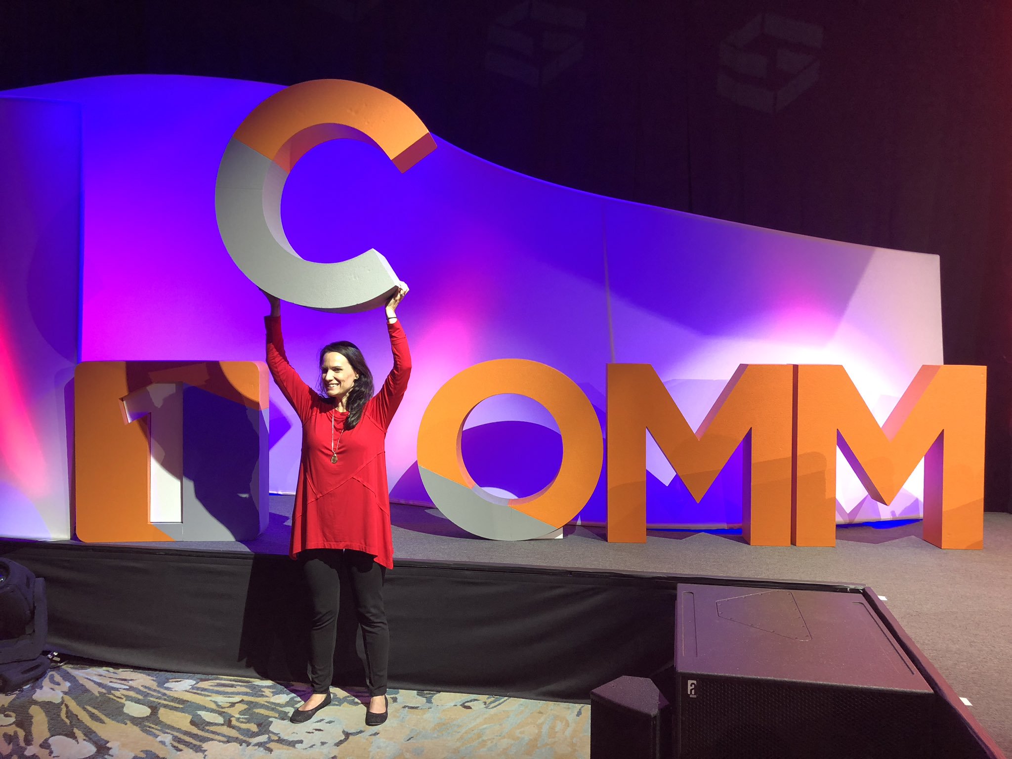 Summit Stage Logo Letters