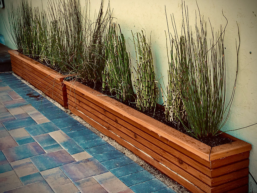 XNX machining and fabricating wood planters