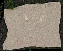 Stepping Stones Cropped copy 5_edited.jp