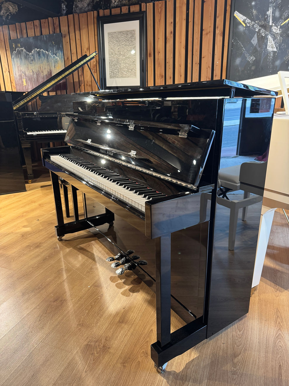 Miniature : PEARL RIVER EU110S