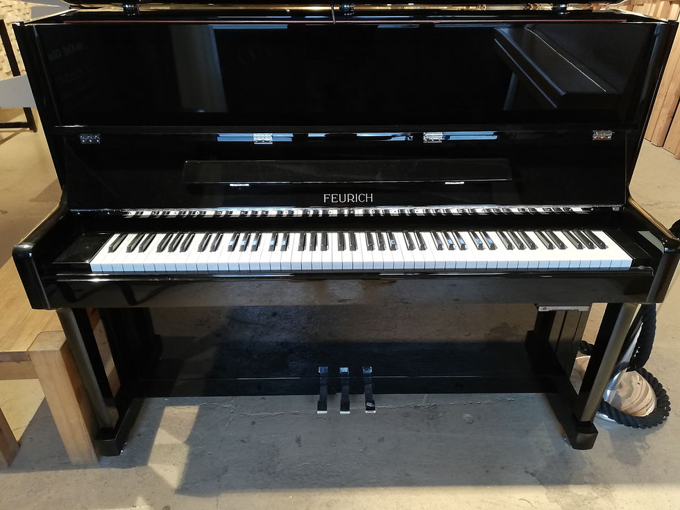 Miniature : FEURICH 122 UNIVERSAL