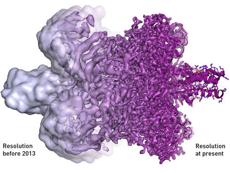 Cryo-electron Microscopy Technology Helps Make New Strides In Biomolecular Imaging