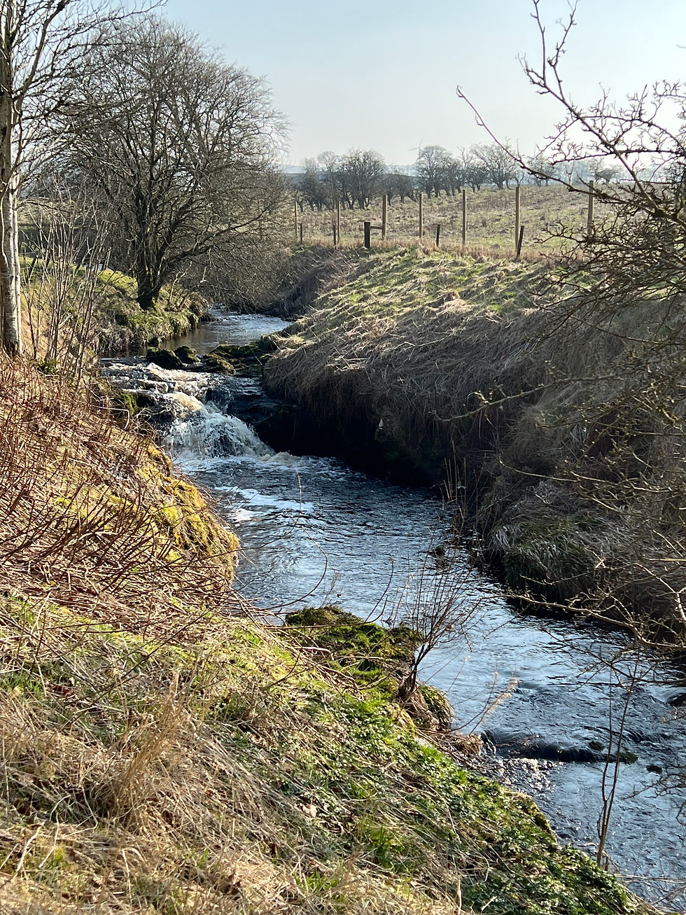 Why Stillness matters - Finding quiet in nature