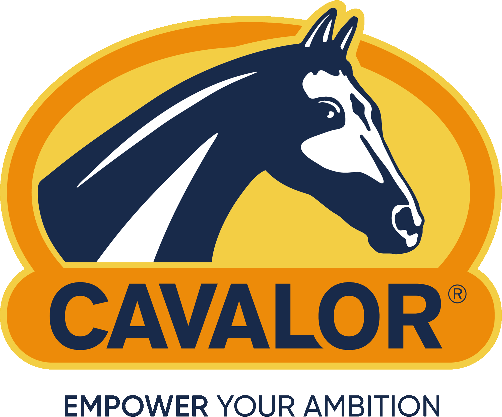 LOGO-CAVALOR-RGB-big.gif