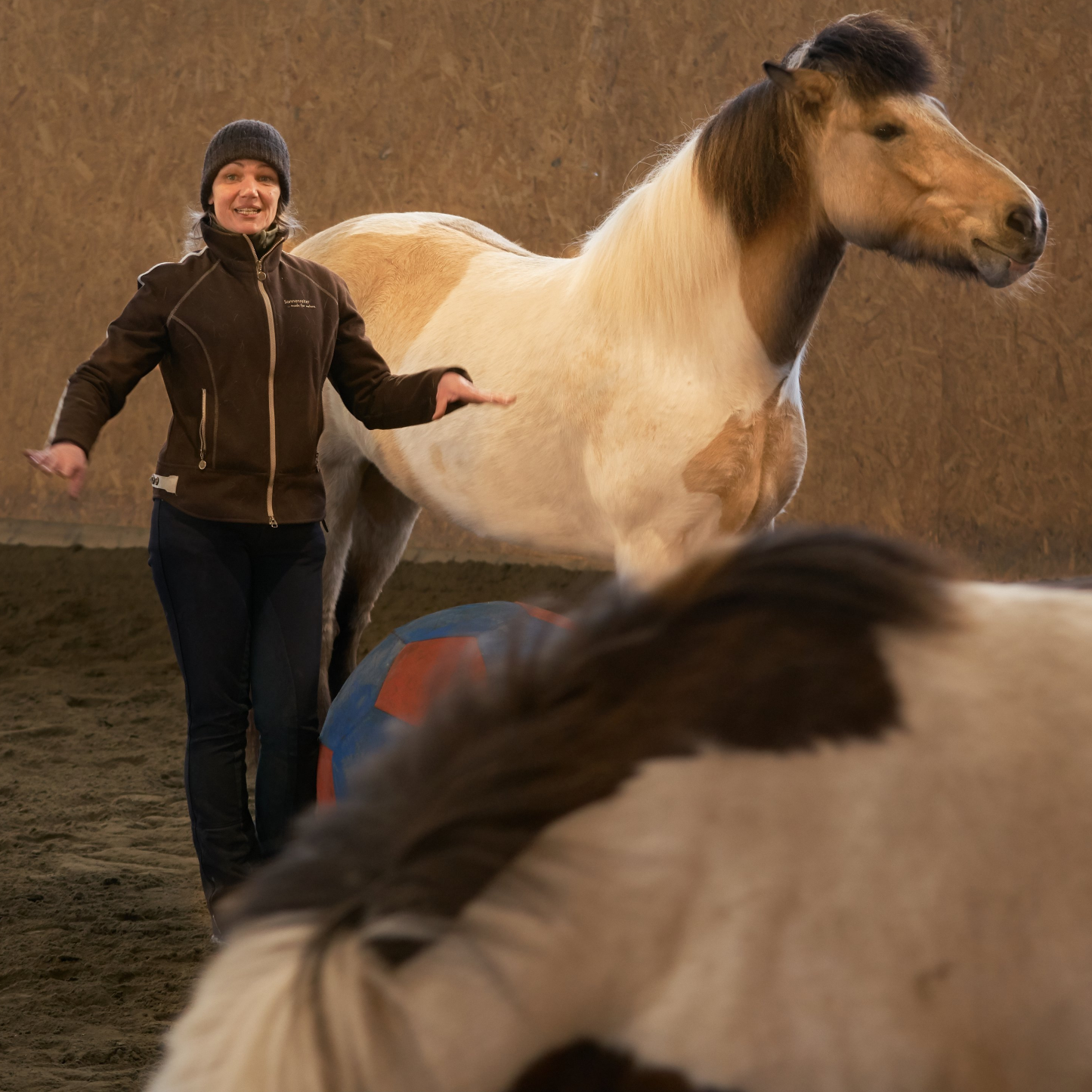 Horse Training Presentation