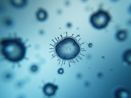 Unveiling the Top Applications of Computer Vision