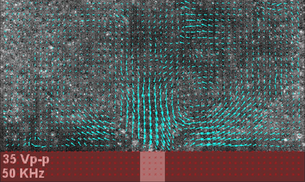particle image velocimetry (PIV) enable the extraction displacement and velocity vector fields 