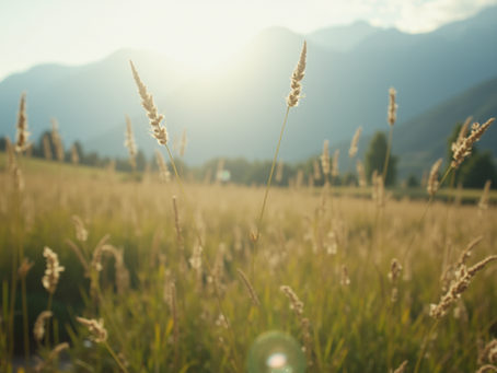 Nurturing the Soul: A Guide to Spiritual Parenting
