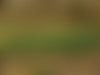 Green Shoots of Spring