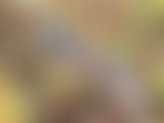 November, Wildness, and Mystery