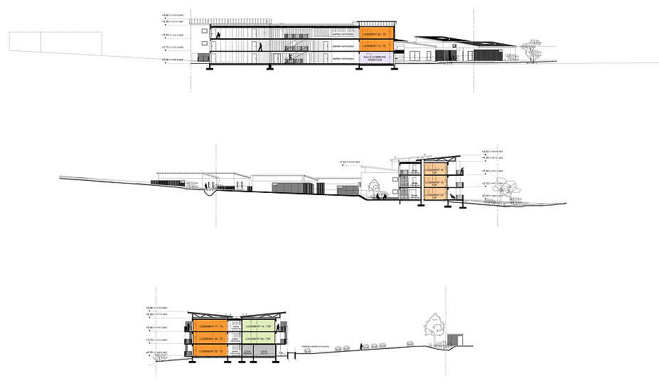 COUPES_base rendu.jpg