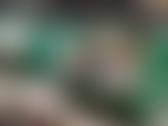 Step-by-Step Guide to Commercial Junk Removal in Raleigh, NC