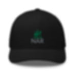 Thumbnail: Trucker Cap