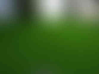 Pasto sintético para eventos en CDMX