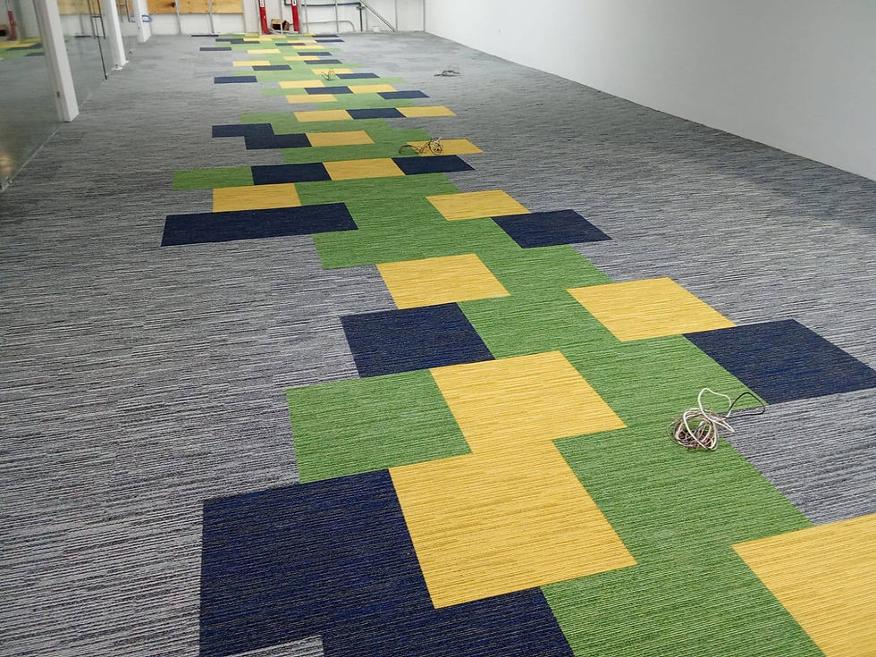 alfombra modular de colores cdmx