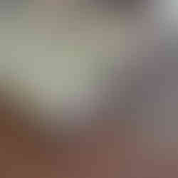 alfombra de rollo económica