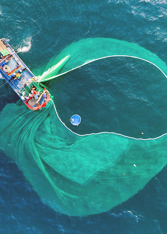 fishing nets