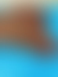 オリジナルマーカープレート