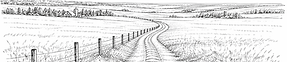 Minimal line illustration of prairie landscape used as a decorative wedding brand element