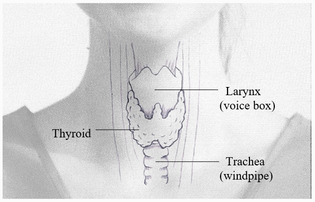 Running on Empty Hypothyroidism, ThyroidMatters, Melbourne, Australia, Thyroid Gland Disorders, Hypothyroidism, Thyroid, Hyperthyroidism