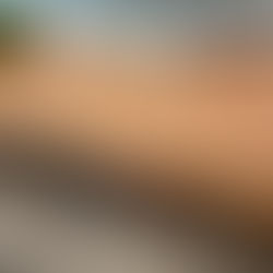 The Live Board, a live-edge curly maple charcuterie board on a kitchen counter.