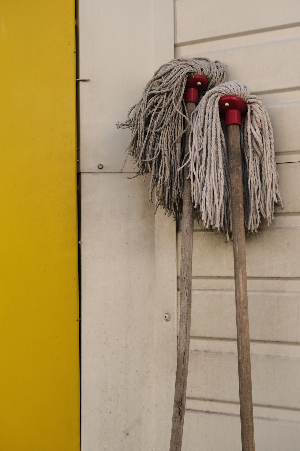 “Mop Buddies: Wallflower Edition”