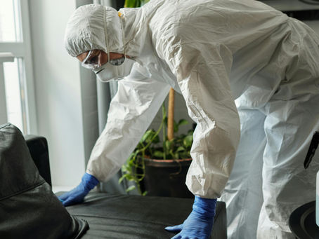 “Cleaning the House: A Rodeo of Dust and Laughter”