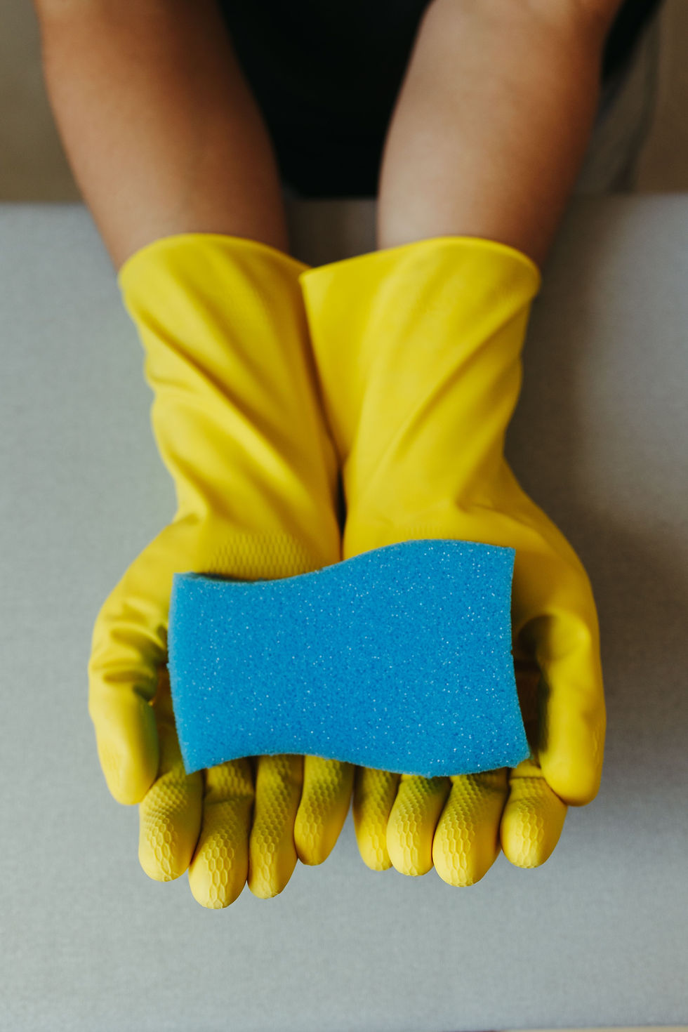 “Yellow Gloves: Sponge Superstar Edition”
