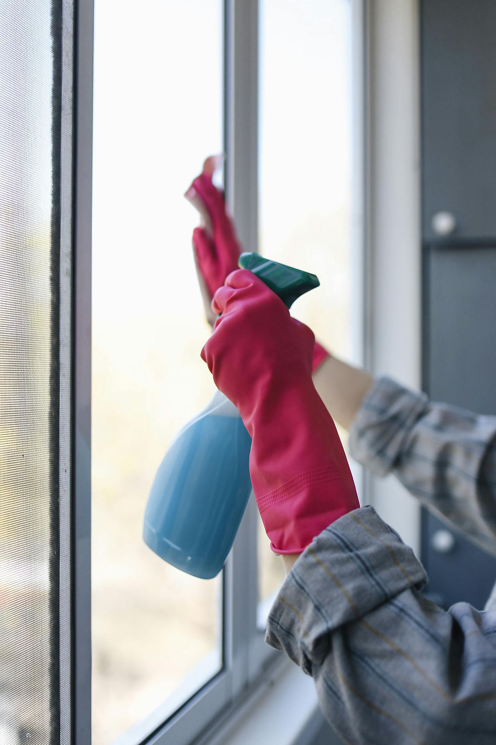 “Cleaning the Window: A Comedy Rodeo of Smudges”