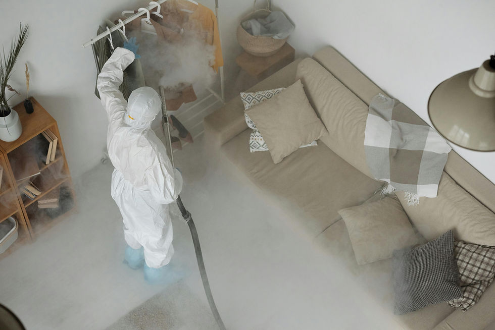 Comedia de Limpieza con Máquina de Niebla