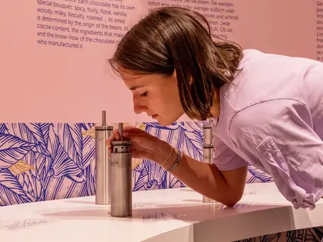 Del Punto de Venta al Punto de Experiencia: ¿Por qué las marcas nativas digitales están abriendo tiendas físicas?