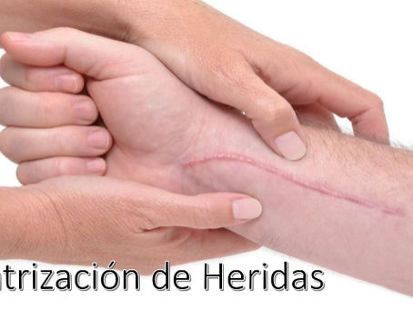 Cicatrización de Heridas, diéresis y síntesis - Dr. Nestor Vega