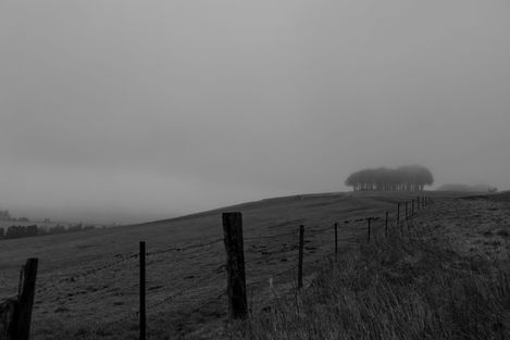 _K7A7458