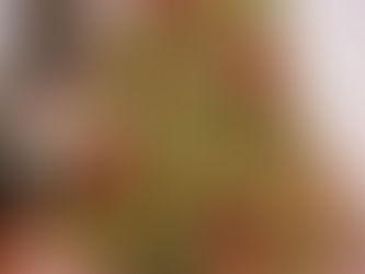 Christmas Activities