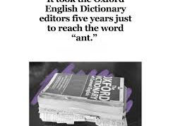 Meme To English Dictionary Vol. 1