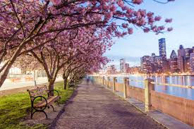 Arts in Spring!