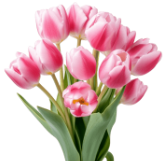  Mother´s Day Gift Idea