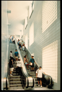 Stuyvesant - What You Need To Know