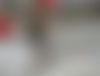 Dimitri Bertels (BEL)