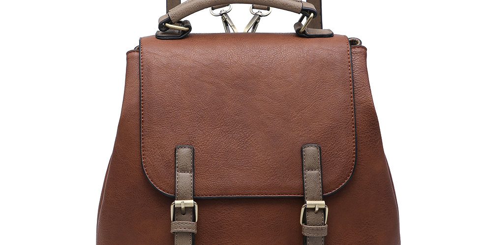 Brooks Convertible Back Pack