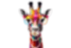 Girafe multicolore avec lunettes