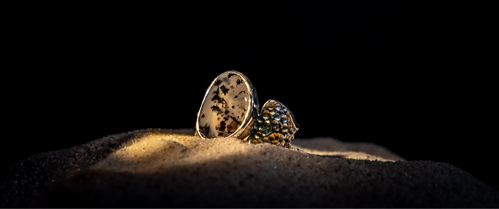 NADINE LACROIX-02_edited_edited.png