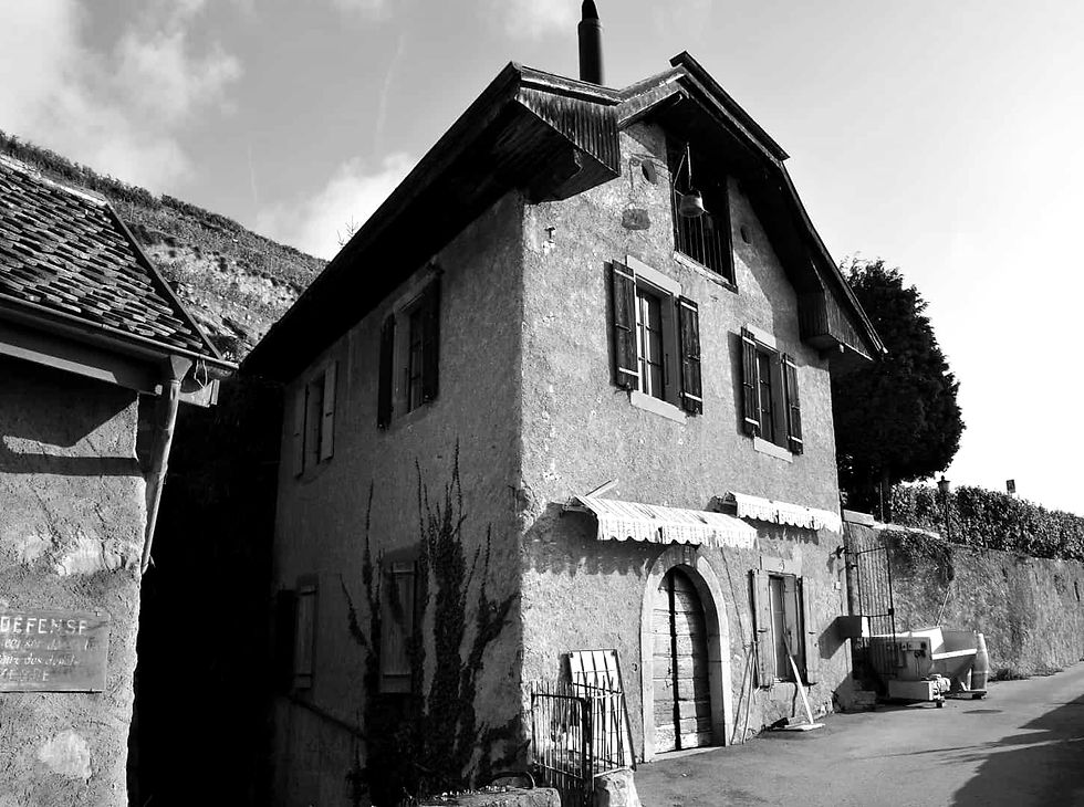 Batiment vitré en noir blanc