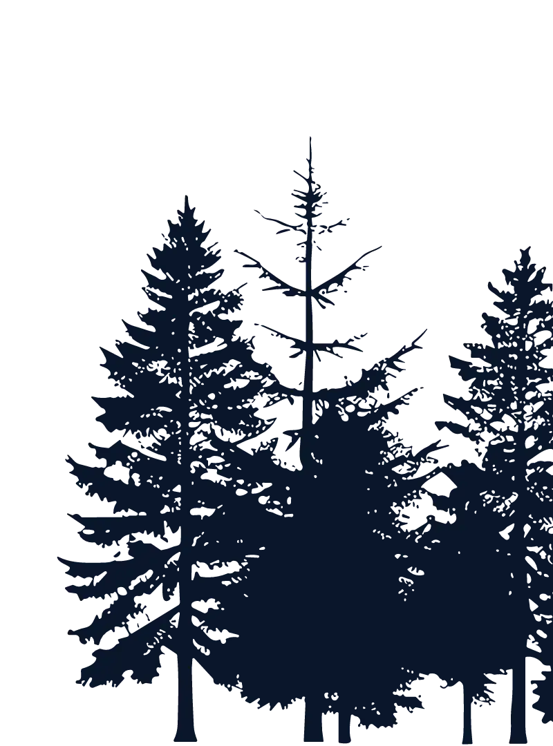 Sapins en ombre vector