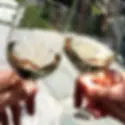 240207316_383929349747897_4449032968653264324_n.webp