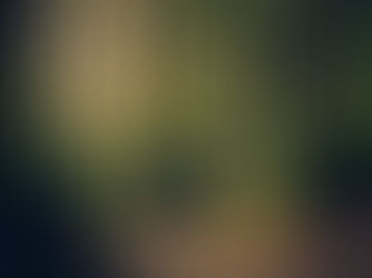 ISO 14001 et critères environnementaux