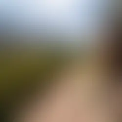 Séjour œnotouristique en Valais : vivre l’expérience de l'Œnotourisme au Castel de Daval